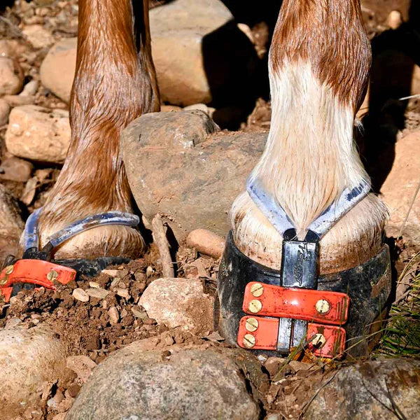 Correas de Barro